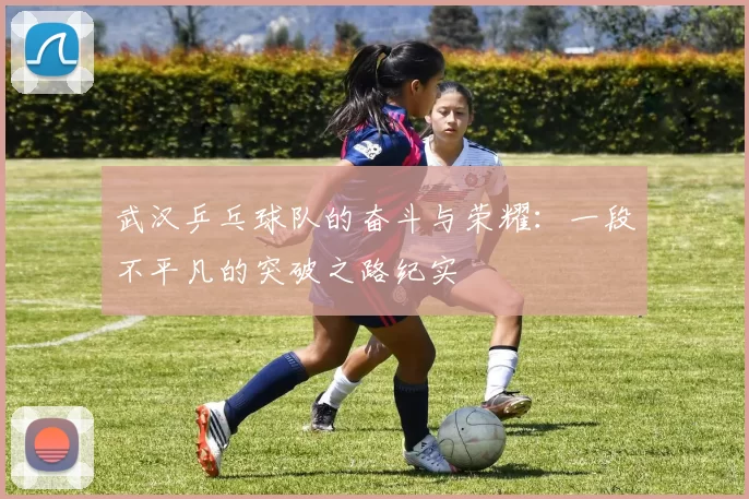 武汉乒乓球队的奋斗与荣耀：一段不平凡的突破之路纪实