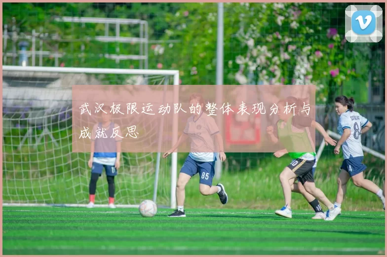 武汉极限运动队的整体表现分析与成就反思