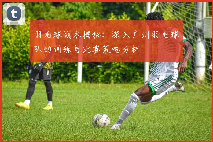 羽毛球战术揭秘：深入广州羽毛球队的训练与比赛策略分析
