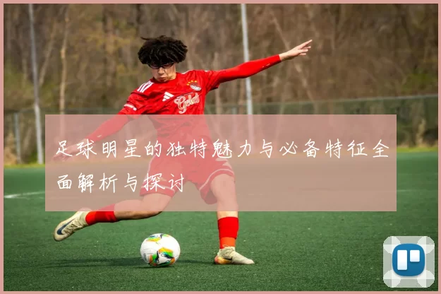 足球明星的独特魅力与必备特征全面解析与探讨