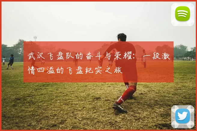 武汉飞盘队的奋斗与荣耀：一段激情四溢的飞盘纪实之旅