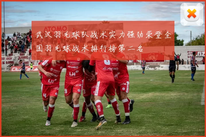 武汉羽毛球队战术实力强劲荣登全国羽毛球战术排行榜第二名