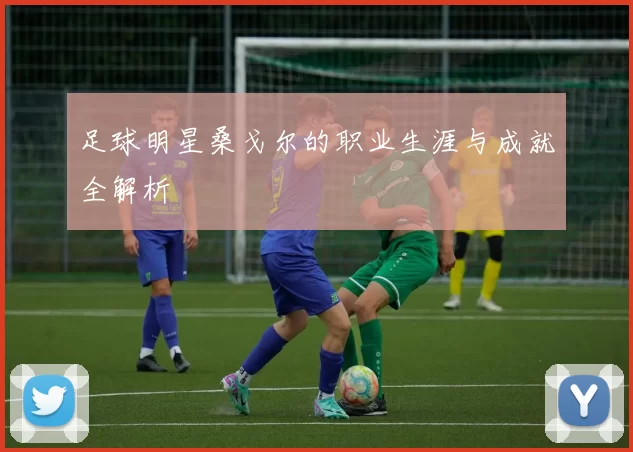 足球明星桑戈尔的职业生涯与成就全解析